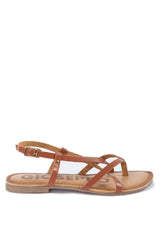 Cuir