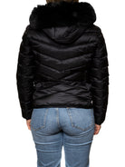 COLMAR  2219E 2YO-99 